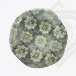 طقم عشاء أورجانيك رويال ألفريدو 36 قطعة بورسلين – كود: 24079